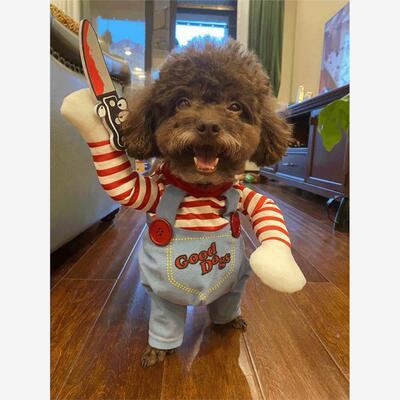狗狗带刀衣服泰迪柴犬猫