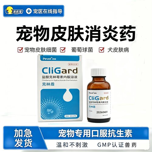 狗狗克林霉素液皮肤病