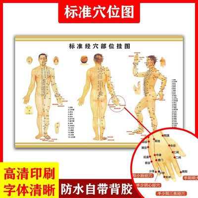 人体经络穴位标准大图针灸穴位挂图中医养生馆按摩全身施灸取穴