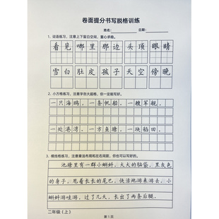 新款小学生123456年级上下册卷面提分书写脱格训练练字帖章法训练