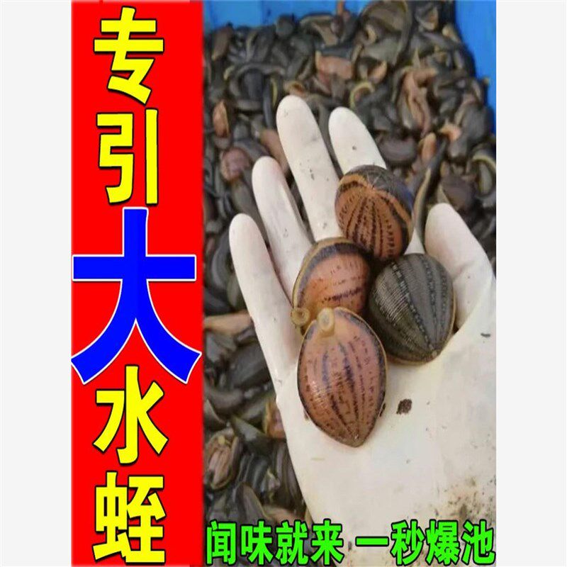 水蛭诱捕剂捕水蛭神器捕捉蚂蟥池塘河流水库专用抓马鳖工具小药水