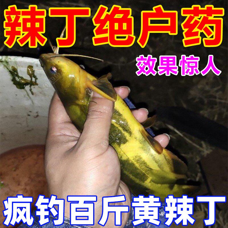 专攻黄辣丁专用饵料昂刺黄颡黄骨黄桑窝料野钓诱鱼剂小药底窝鱼食
