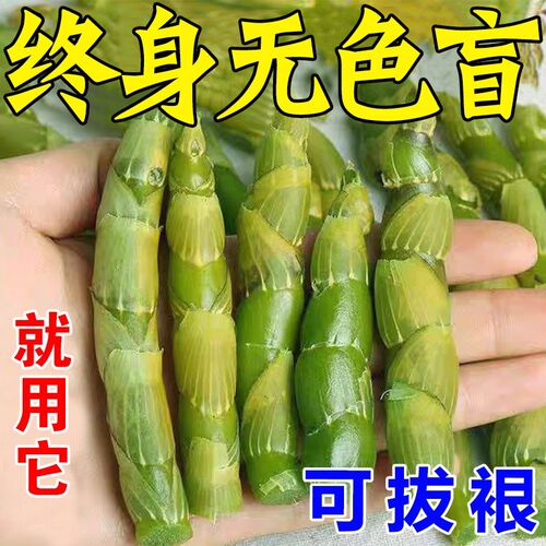 色盲色弱滴眼液【裉治】红绿色盲矫正眼镜干涩疲劳视线模糊眼水