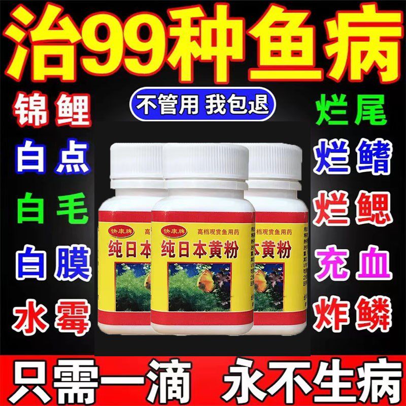 锦鲤鱼生病药白点红斑蓝烂身烂尾烂鳃烂嘴烂肉除寄生虫综合康覆剂