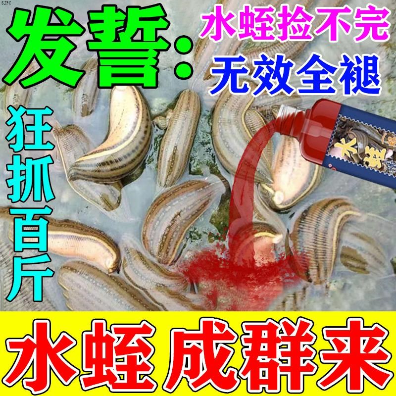 水蛭诱捕饵料蚂蟥捕捉神器野钓抓水蛭专用捕捉工具新款水蛭诱食剂