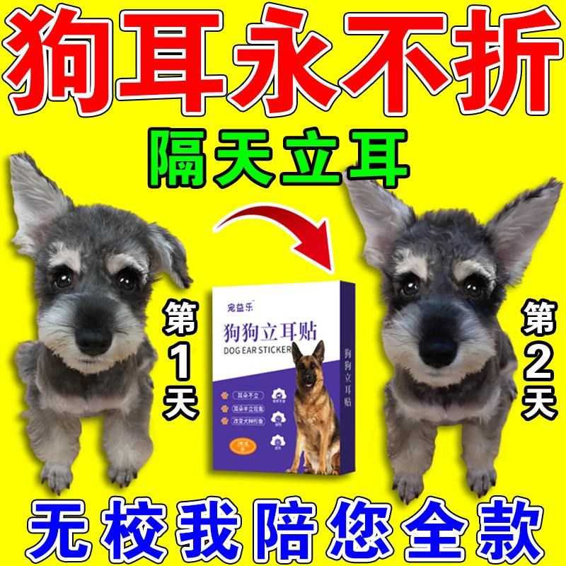 狗狗立耳神器小狗雪纳瑞立耳朵杜宾德牧黑狼犬柯基泰迪辅助竖耳贴
