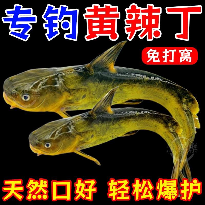 高浓度黄辣丁小药诱鱼剂野钓昂刺鱼饵料黄鱼黄骨鱼黄颡鱼钓鱼饵料