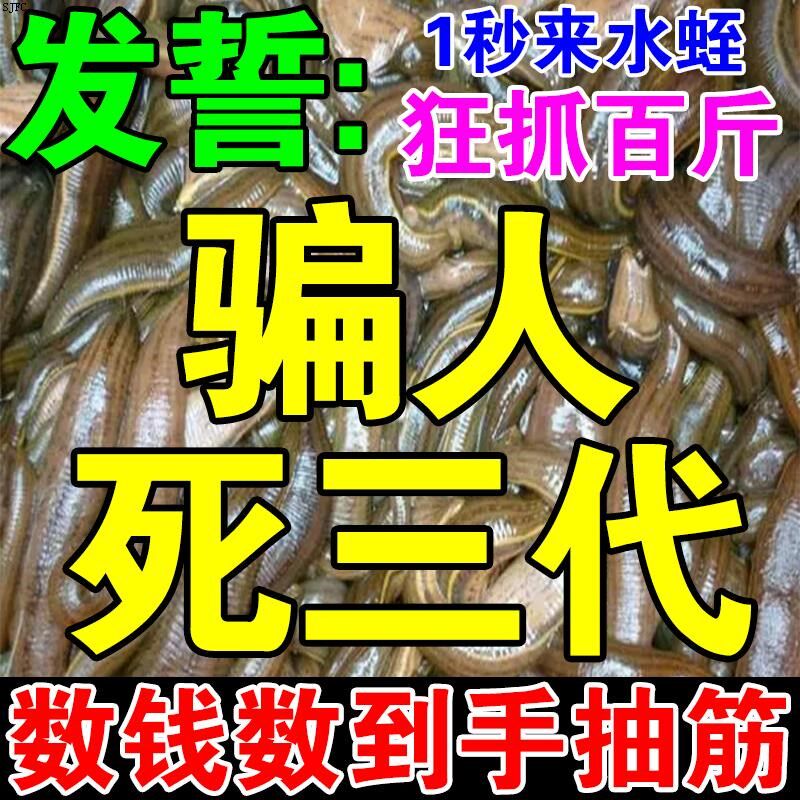 水蛭蚂蝗捕捉器诱捕剂抓水蛭蚂蟥饵料药专用机工具板灯食野钓神器