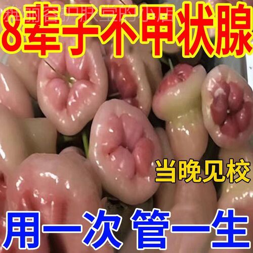 【散结老方子】甲状腺性低回声结节散结贴甲状腺贴甲状腺透气贴Y