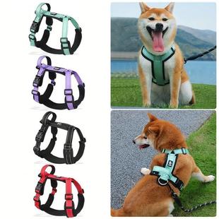 walking small and Dog sized for medium dogs leash