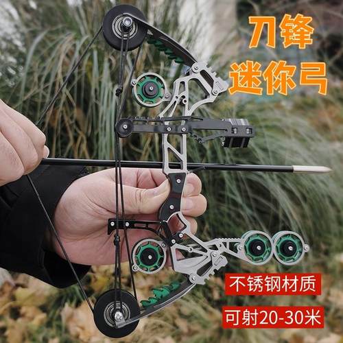 复合弓弓箭套装户外射箭器材