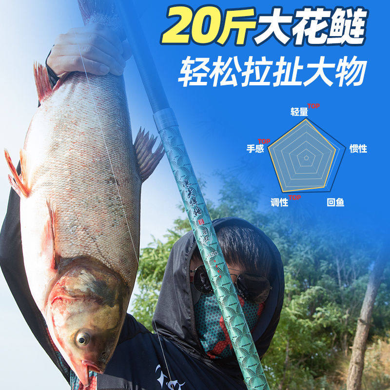 낚시 바다 낚싯대 세트 조합 바다 낚싯대 낚싯대 투척대 초경질 장거리 투척대 은잉어와 대머리 잉어 세트