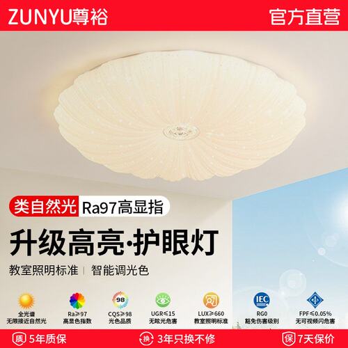 卧室灯现代简约 led新款主卧吸顶灯星空灯具女孩子爆款网红房间灯