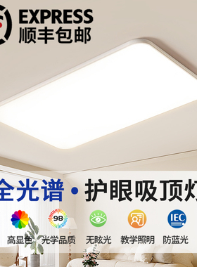 客厅主灯新款全光谱吸顶灯现代简约护眼极简全屋套餐组合中山灯具