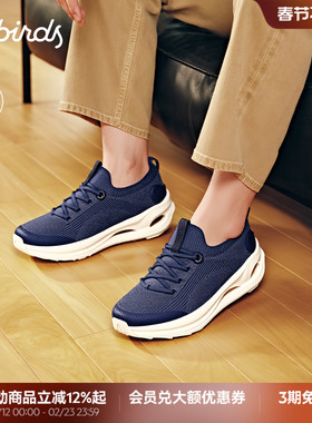 Allbirds休闲鞋Ecolane Tweed秋冬新款舒适保暖羊毛厚底男鞋