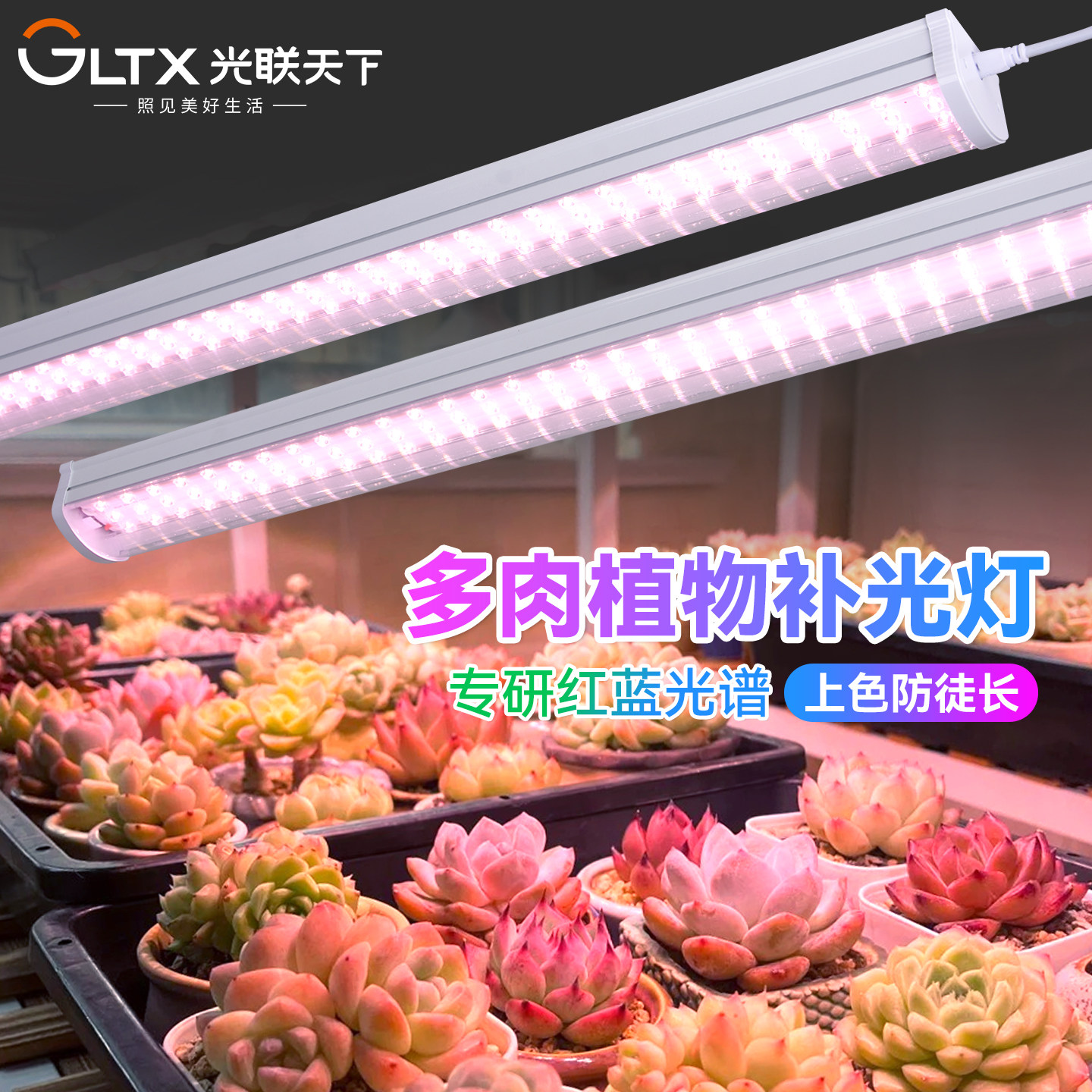 光联天下全光谱多肉补光灯法师上色防徒长植物生长灯透镜款长条灯,家装灯饰光源,植物生长灯,淘宝优惠券,粉丝福利购,淘宝优惠卷