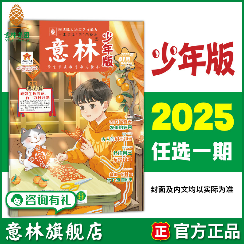 少年版2025年新款单本杂志