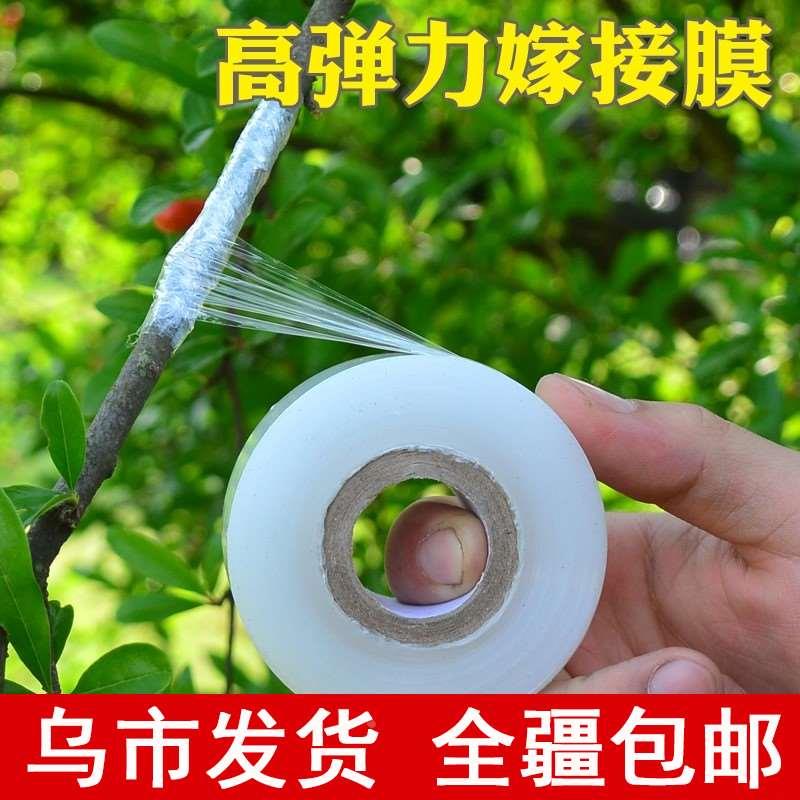 嫁接专用膜自粘式园林缠绕薄膜6cm透明塑料条 嫁接包扎胶带