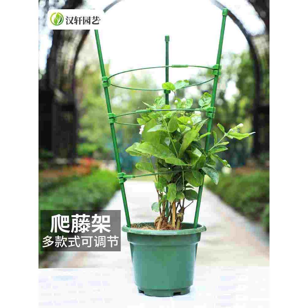 汉轩 爬藤花支架架子月季花架花卉支撑杆植物盆室内园艺铁线攀爬