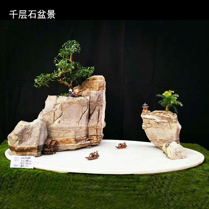 硬石假山盆景千层石造景石龟纹石天然石头鱼缸装饰