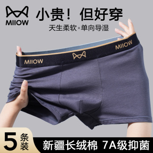 四角裤 秋冬大码 男式 猫人男士 头男款 纯棉男生2025新款 平角短裤 内裤