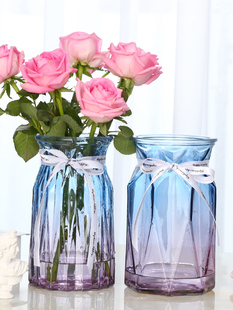 玻璃花瓶彩色欧式 客厅创意摆件插花玫瑰 花瓶2个 水培透明家用
