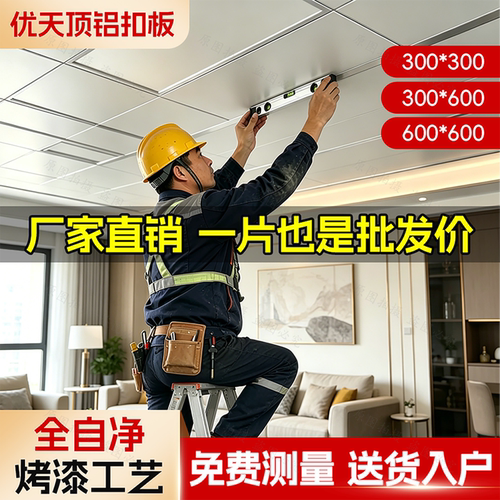 300x600铝扣板客厅厨卫集成吊顶