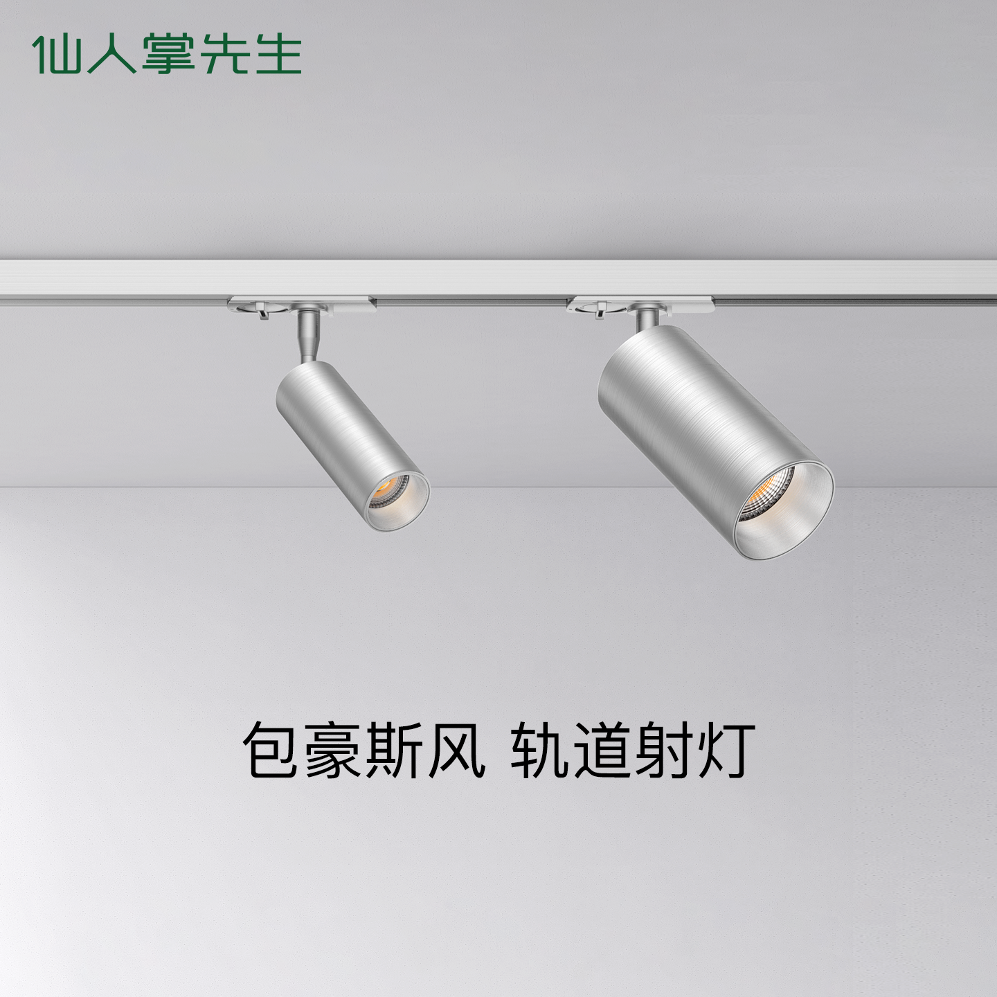 仙人掌先生明装轨道射灯深防眩