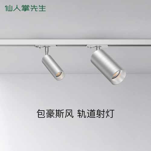 仙人掌先生明装轨道射灯深防眩