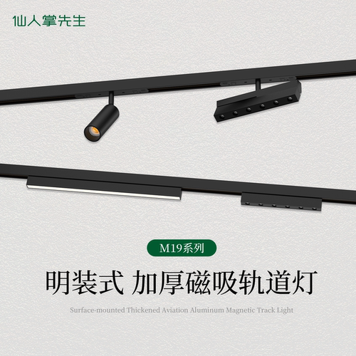 仙人掌先生超薄磁吸轨道灯