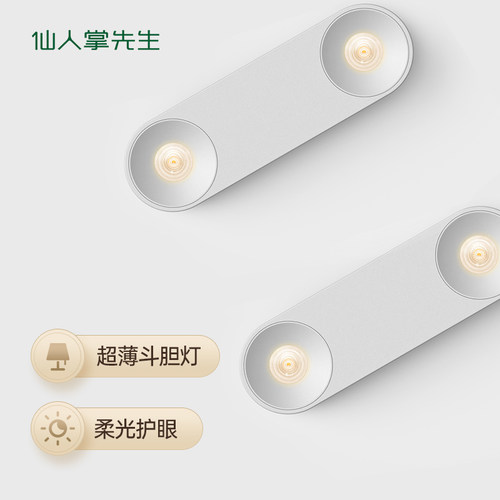 仙人掌先生超薄明装射灯斗胆灯