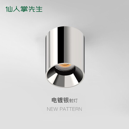 仙人掌先生明装筒灯高级感电镀银