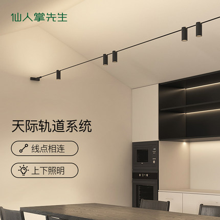 仙人掌先生天际线轨道线性灯嵌入客厅氛围led线条灯带射灯