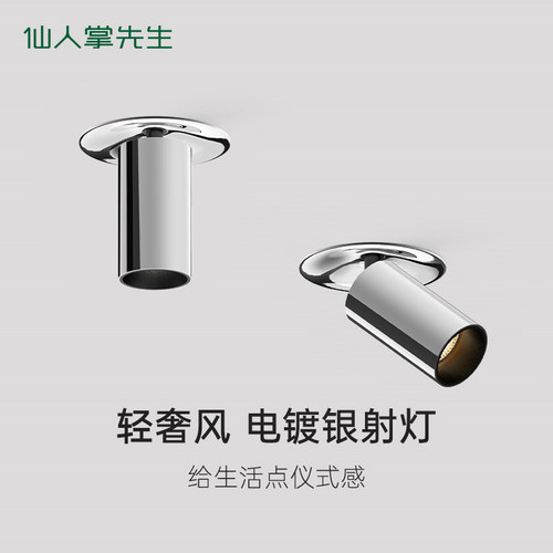 仙人掌先生轻奢风嵌入式射灯