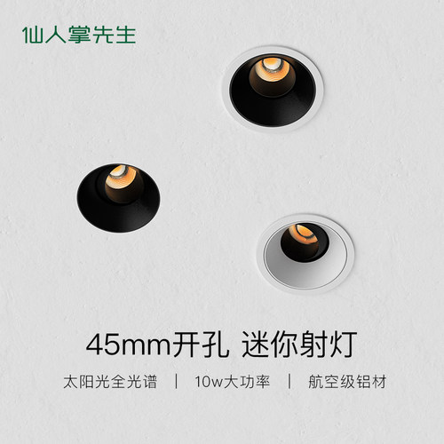 仙人掌先生迷你射灯10W45mm孔径