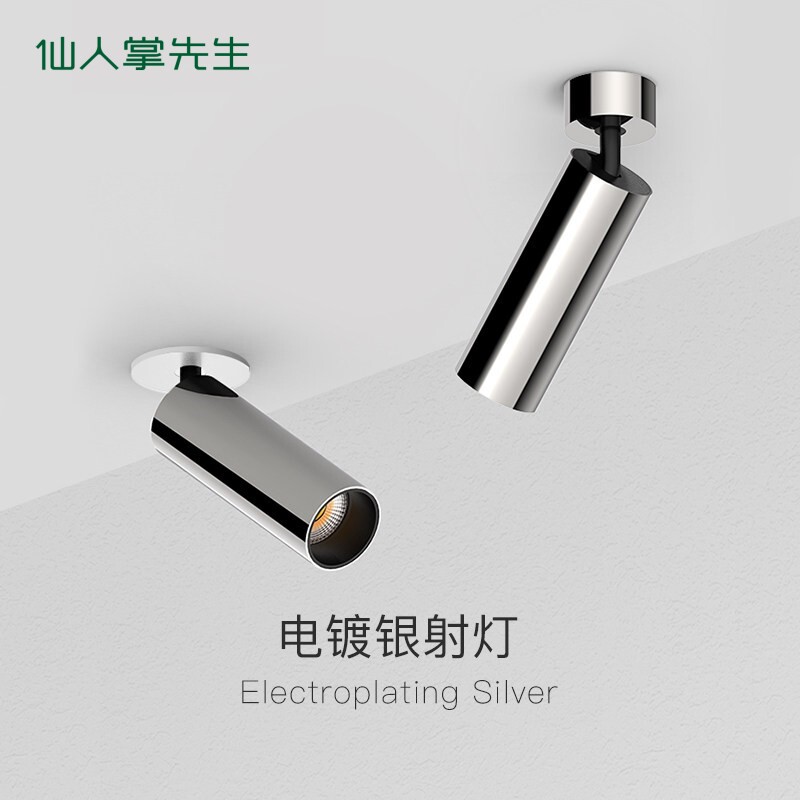 仙人掌先生电镀银色明装射灯中古风可调角度洗墙照画不锈钢壁灯