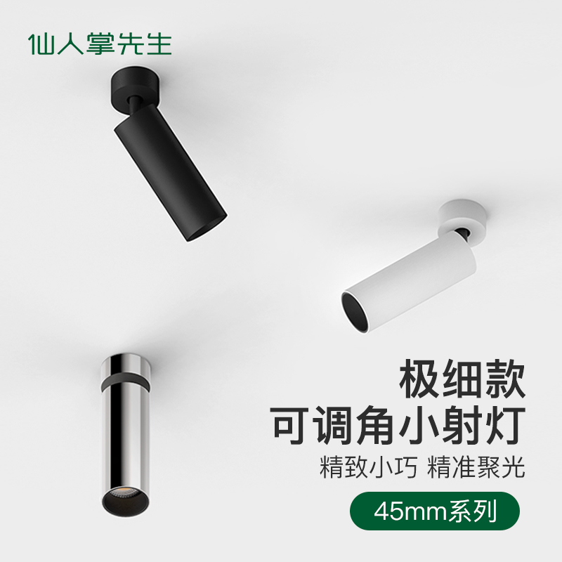 仙人掌先生40mm孔径电镀银筒灯免吊顶防眩吸顶迷你明装可调角射灯