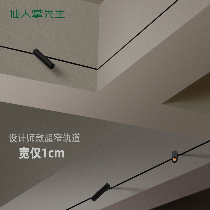 仙人掌先生超薄极窄磁吸轨道设计师客厅明装无边框立面无主灯极简