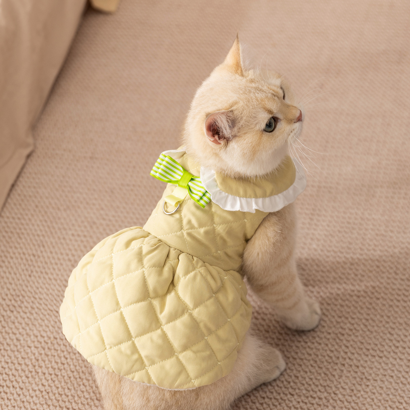 新品上市丨猫咪衣服保暖小裙子