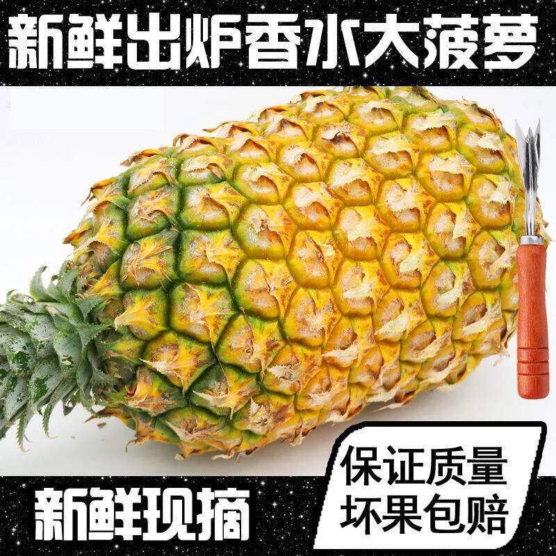 新鲜大菠萝海南香水菠萝大果菠萝大个当季热带水果菠萝广西菠萝