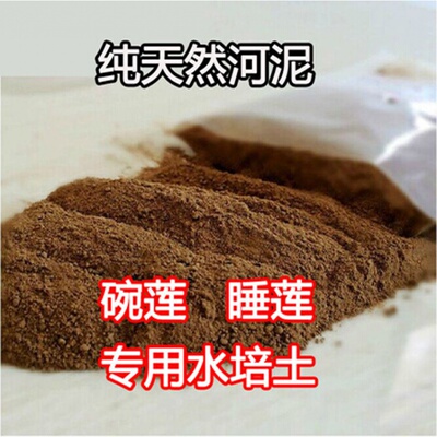 四季盆栽河塘睡莲水培泥土