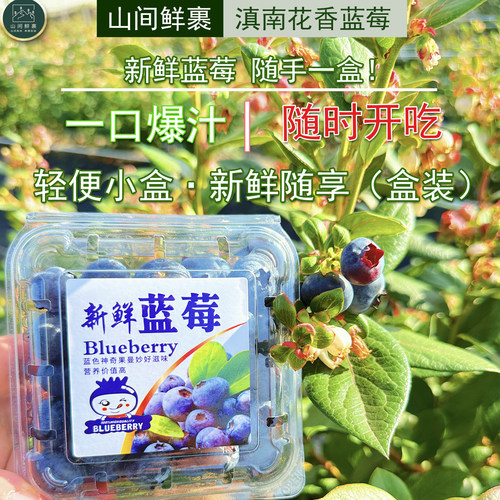 喜欢吃酸甜蓝莓的朋友