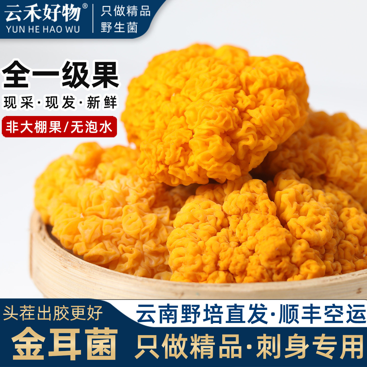 全一级新鲜金耳菌云南黄金耳菌木耳蘑半野生菌菇金银耳官方旗舰店