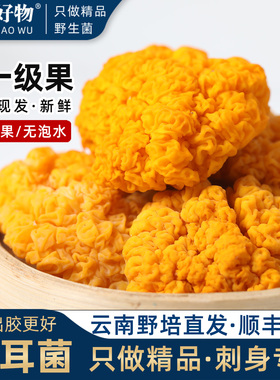 全一级新鲜金耳菌云南黄金耳菌木耳蘑半野生菌菇金银耳官方旗舰店