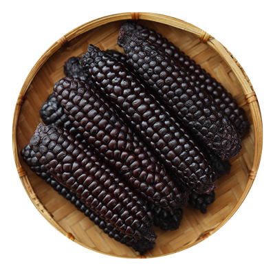 西双版纳紫黑糯拇指玉米全一级果