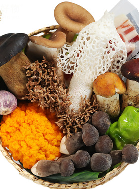 多种套餐云南菌子火锅食材新鲜菌菇牛肝菌野生菌无毒鲜蘑菇组合包