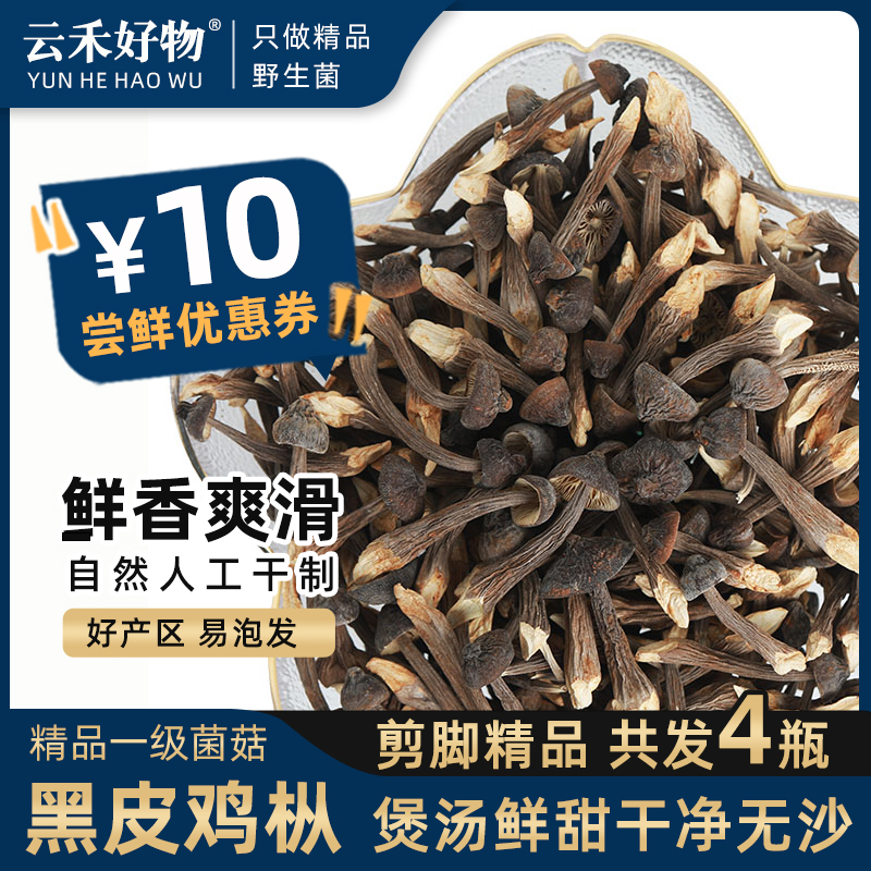 黑皮鸡枞云南特产纵菇煲汤食材