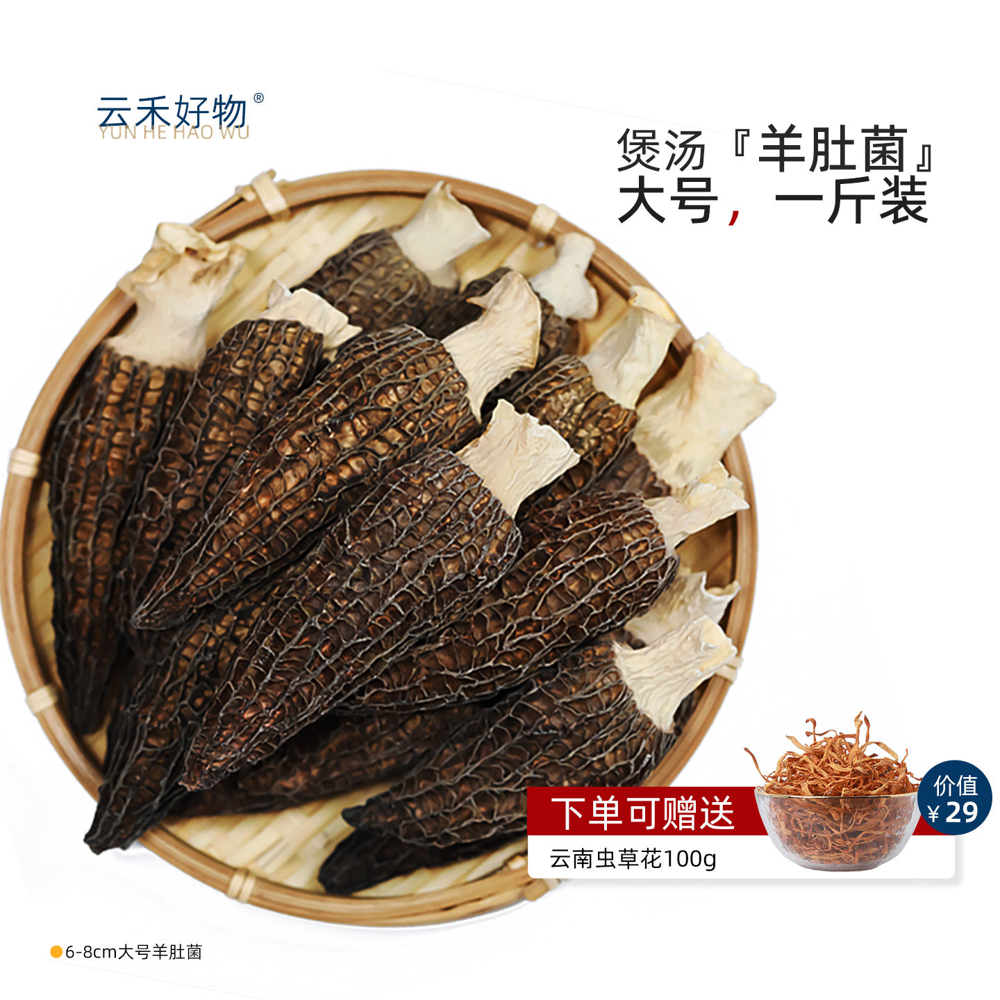 云禾好物大号羊肚菌干货半斤装云南仿野菌菇煲汤食材炖鸡新鲜500g