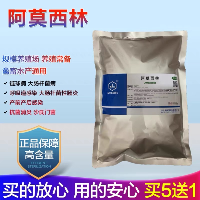阿莫西林兽用可溶性粉鸡猪鸭兔牛水产抗菌养殖饲料添加剂正品包装