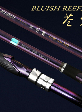 RYOBI利优比苍岩矶矶钓竿硬调碳素伸缩矶钓竿钓鱼竿手海两用抛竿